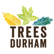 Trees Durham logo