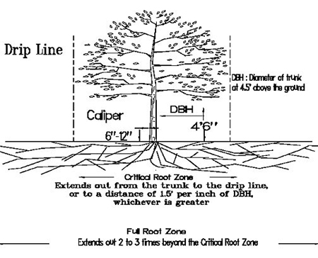 Tree Diagram for Protection