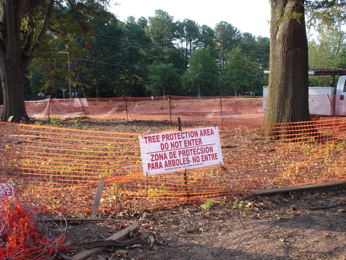 Tree Protection Area