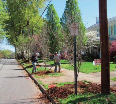 Trees and Utilities