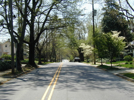 Tree Care Information