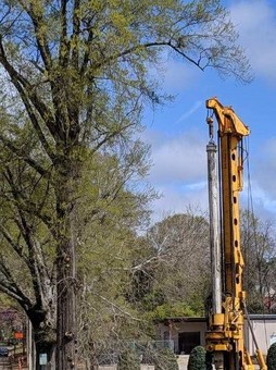 Tree Protection During Construction