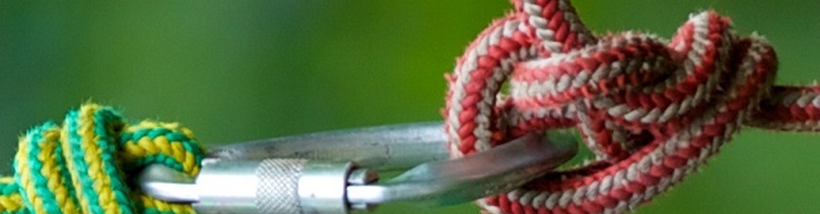 Interested in a Career in Arboriculture?